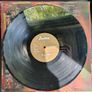 Kenickie - At The Club Vinyl LP (1997) Hard To Find Indie Britpop VG+ Image 3