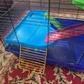 Large Hamster cage with accessories Image 3