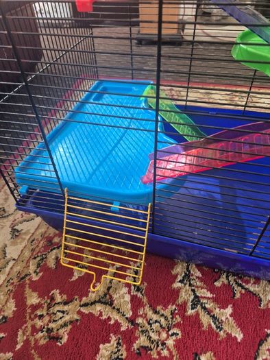Large Hamster cage with accessories