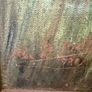 Northern Irish Oil by Alex D. Minty. Clandeboye Lake, Co. Down. Signed 1980 Image 6