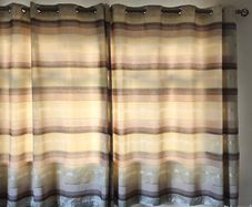 curtains (x2)