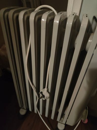 De'Longhi Electric Radiator
