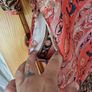 Zara Dress Image 2