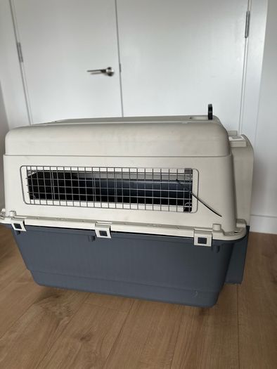 pet