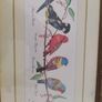 Decorated Arts Framed Matted Wild Bird Print Signed Edwards Image 5