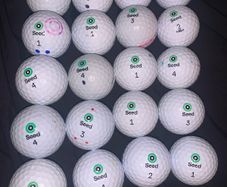 20 Seed SD-02 golf balls