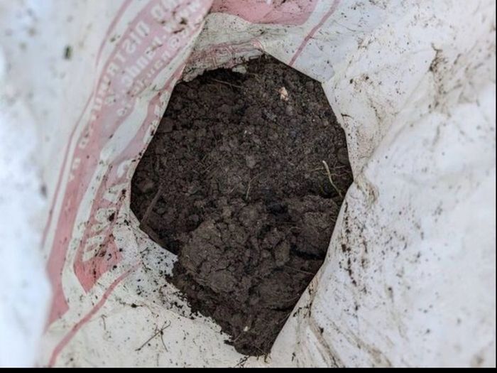 soil