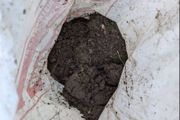 soil