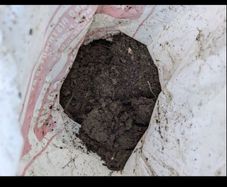 soil