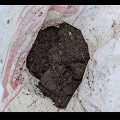 soil