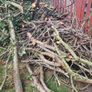 Fire wood, Logs Image 2