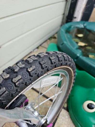 Kids bike raleigh