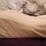 Tempur Travel Pillow Image 8