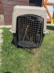 dog carrier