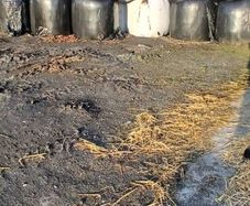 Silage bales