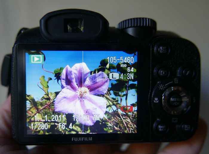 Fujifilm FinePix S2950 14MP Digital Bridge Camera