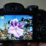 Fujifilm FinePix S2950 14MP Digital Bridge Camera Image 3