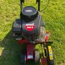 mtd lawn edger Image 5
