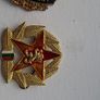 Collection of Military Badges Image 4