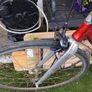 fixie giant Image 7
