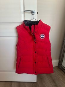 canada goose