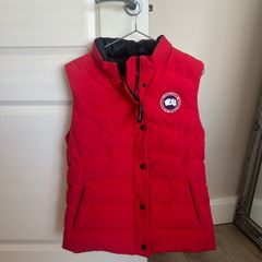 canada goose