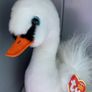 Swan TY Gracie Image 3