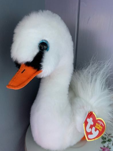 Swan TY Gracie