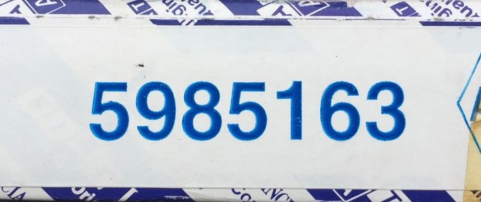 Timing Belt (Fiat Regata 1.9D)