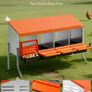 4 Compartment Chicken Nesting Box with Support Legs Roll Away Egg Collection Image 3