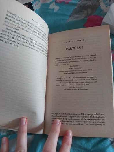 Into the wild book - English - NEW !