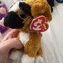 beanie boo with tags Image 8