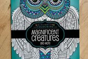 mindfulness colouring book new