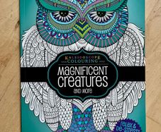 mindfulness colouring book new