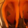 Adidas Football Image 3