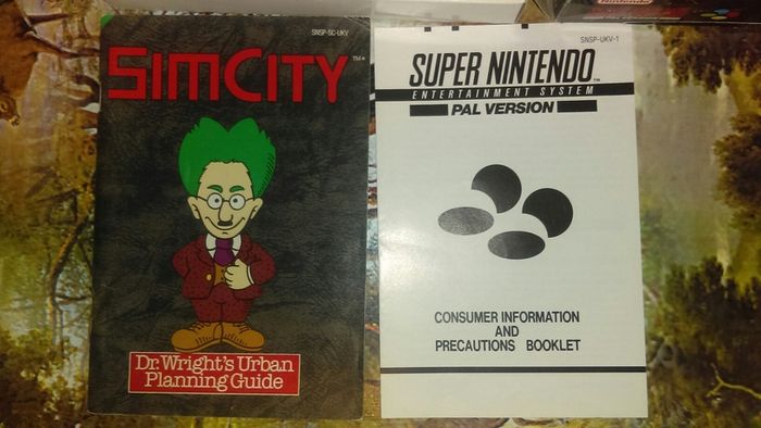 Sim City