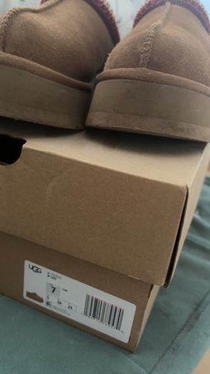 tasman uggs