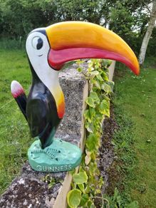 Large Guinness toucan