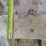 Bricks Image 4