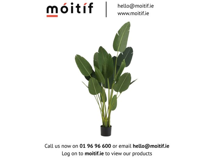 Sterlitzia Synthetic Green Plant - Large