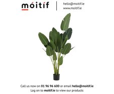 Sterlitzia Synthetic Green Plant - Large