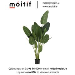 Sterlitzia Synthetic Green Plant - Large