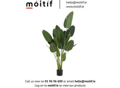 Sterlitzia Synthetic Green Plant - Large