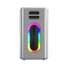 HI Future Music Box 100w speaker with 2 mics Silver