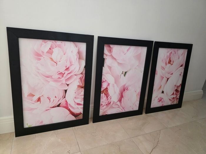 3 pictures with frame 53x72 cm