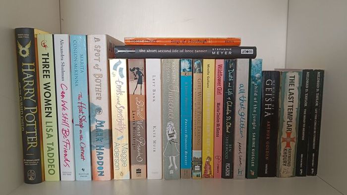 24-Book Bundle - Fiction, Classics & YA - Optional Paradise Lost and Middle-Earth