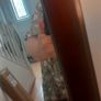 lovely mahogany  mirror Image 3