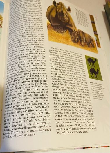 Children book: the Hamlyn children's encyclopedia in colour
