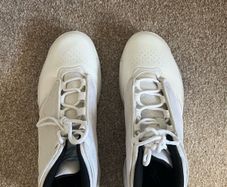 Air Jordan 4 Max Aura