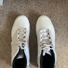 Air Jordan 4 Max Aura